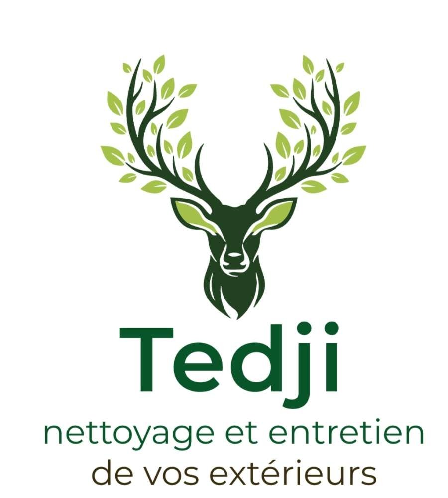 tedji-nettoyage-entretien.fr